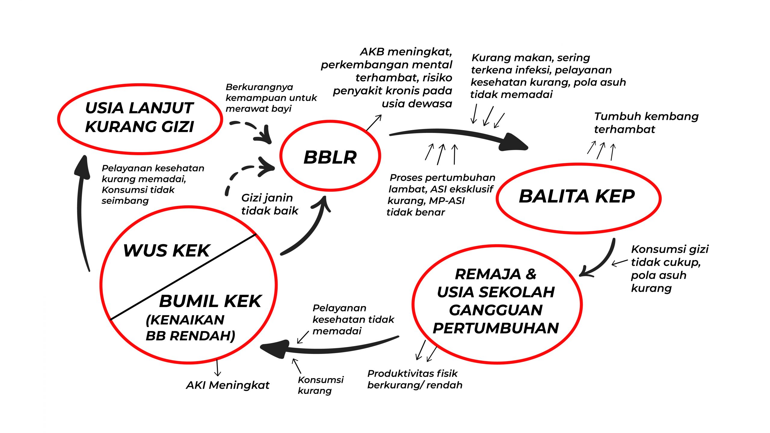 1412KPB609 - 2022/2023 – C3 - GIZI DAUR KEHIDUPAN