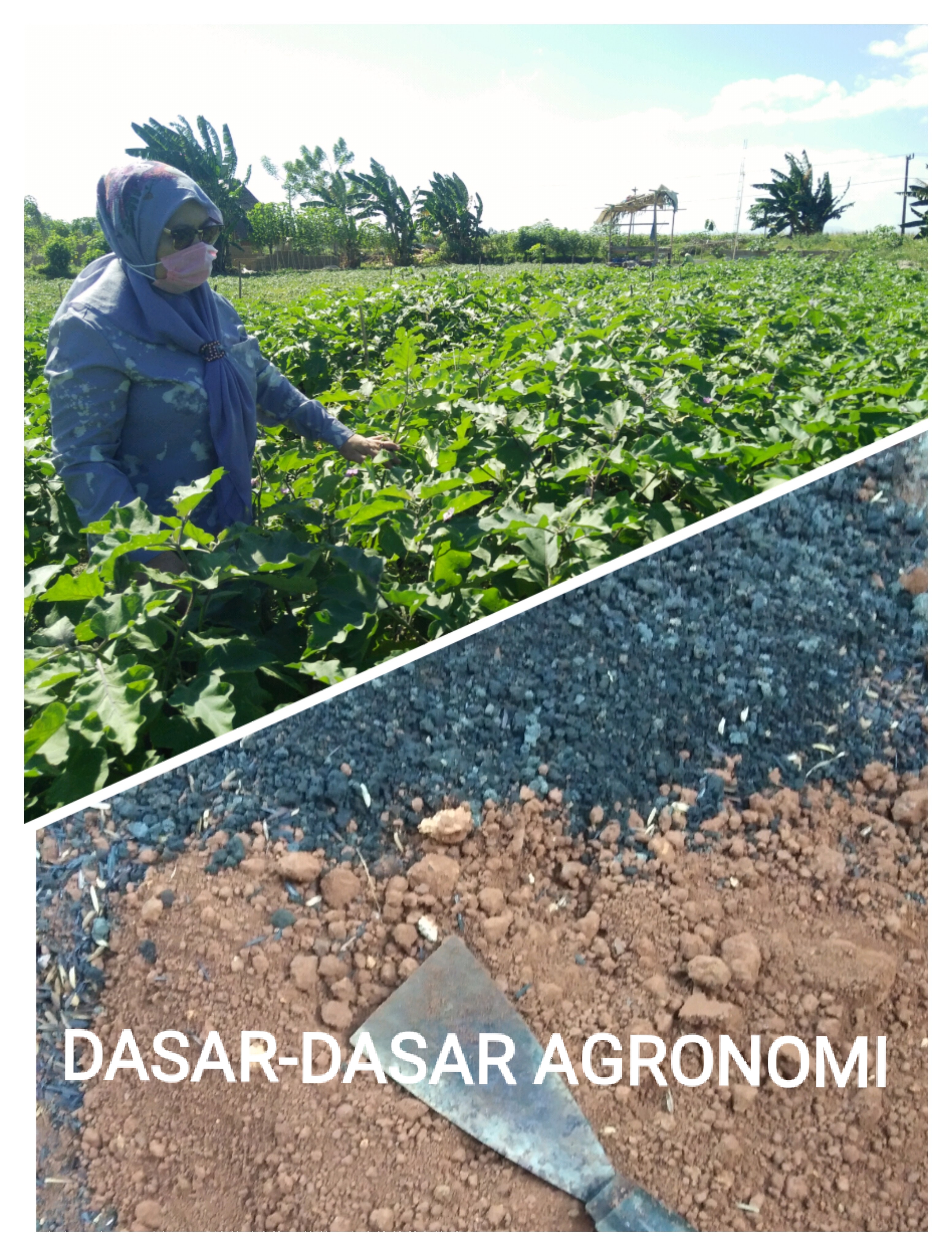 0833PAT102 - 2020/2021-1-Dasar-Dasar Agronomi - A2-