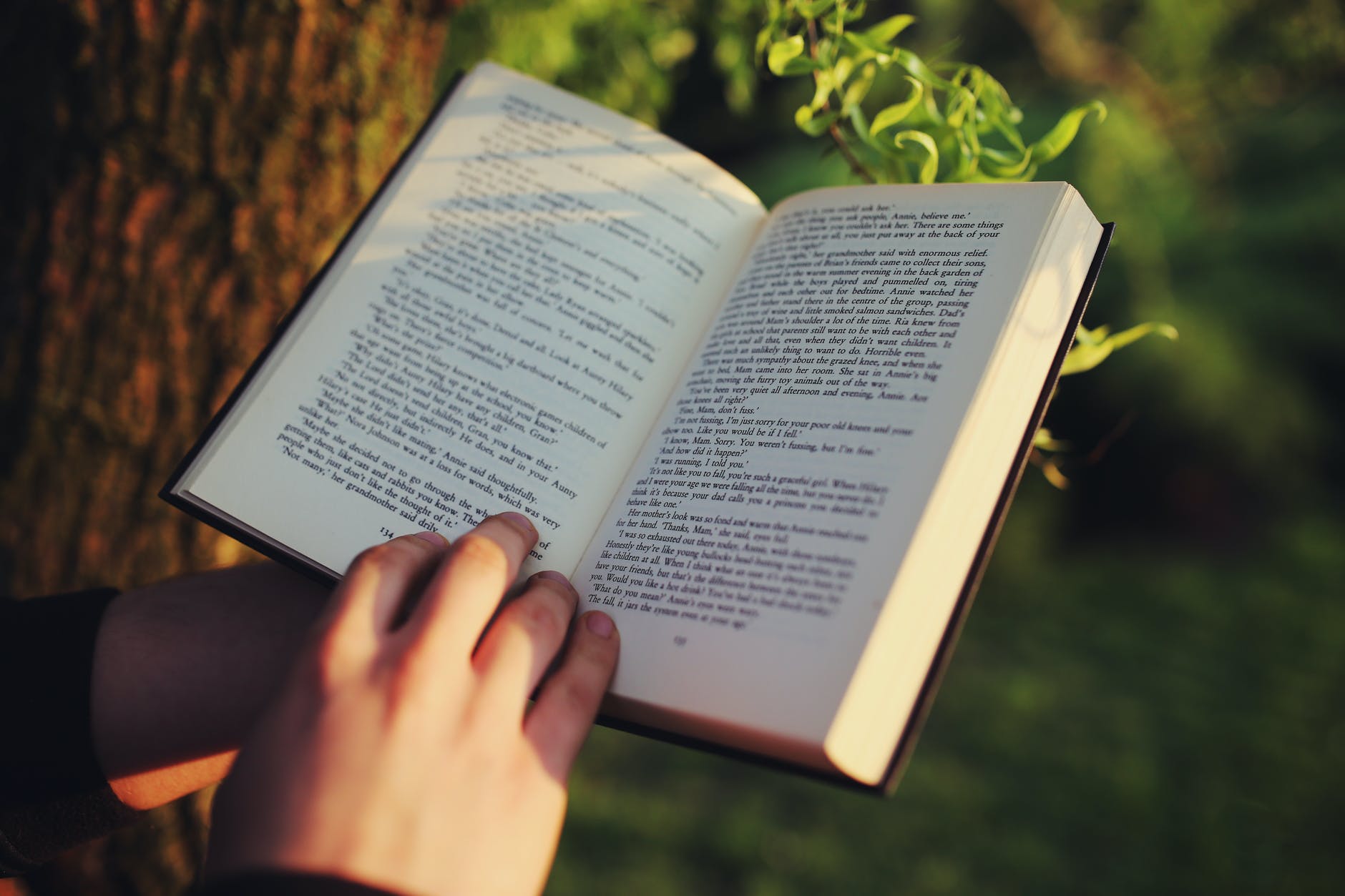 18662IK105-20241-2025-LITERAL READING-C1-F14