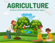 0822NS202 - 2025/2026 - B1 - Bahasa Inggris