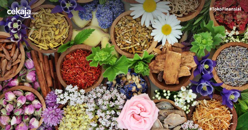 1502FF230-20252-C11-METODE FITOKIMIA