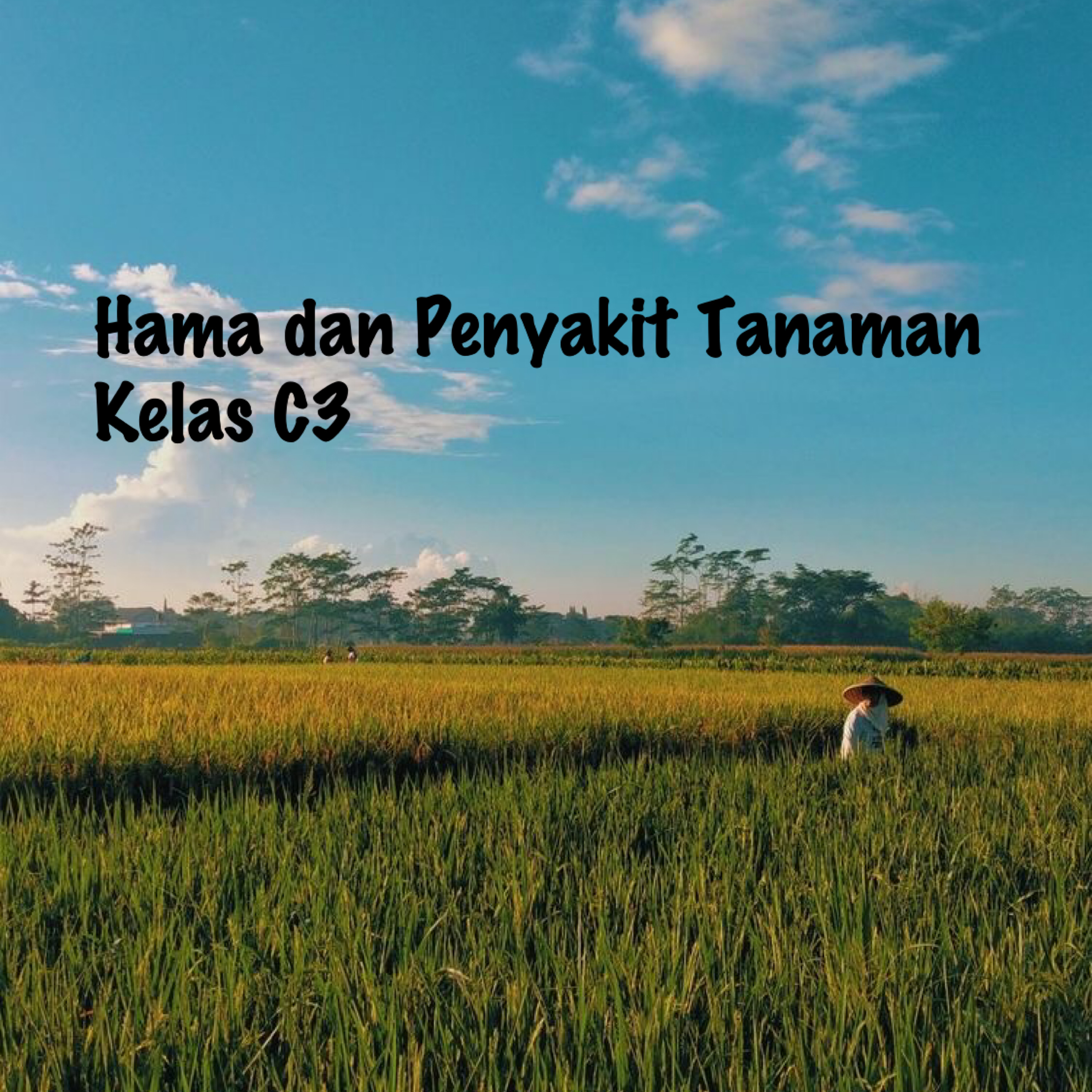 0823PAT414-2021/2022-Hama Dan Penyakit Tanaman-C3-M304